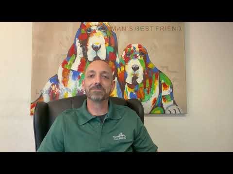 Understanding Pet Aquamation Process Explained in HelloNation Article Featuring Pet Aquamation Expert Kyle Humphries
