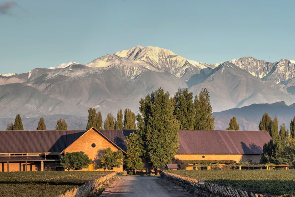 A chardonnay drinker expands her wine horizons in Argentina