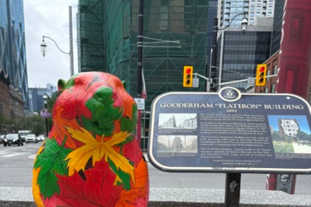 Auction to own one of Toronto’s FIFA beavers closes with more than 0,000 in total bids
