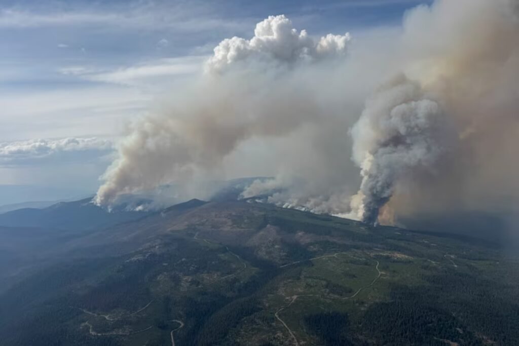 Wildfires disrupt B.C. wineries’ peak tourism season, cause financial strain