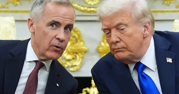 ‘We can’t run our businesses’: Canadian companies react to U.S. tariffs – National