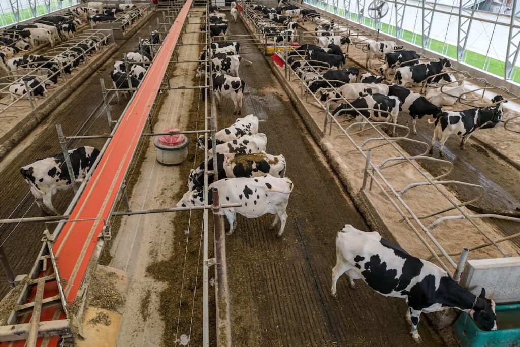 What’s on the list of U.S. goods hit by Canada’s countertariffs?