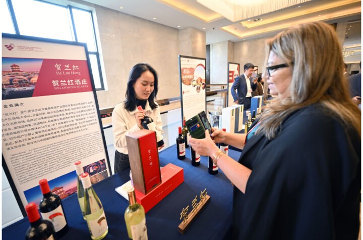 Xinhua Silk Road: NW China's Yinchuan sees flourishing vine and wine sector with int'l events held