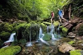 Which places in Canada should be on every nature lover’s bucket list?