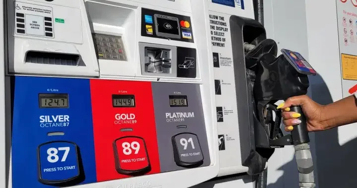 Poilievre urges Carney to keep fuel excise tax suspended until Canada Day – National